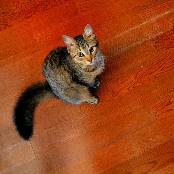 A Little Bit Of Everything!                            HI!  I Am Donna Frye! - Picture 8 of 15